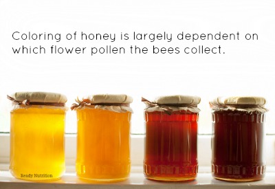 variety of raw organic honey bee products